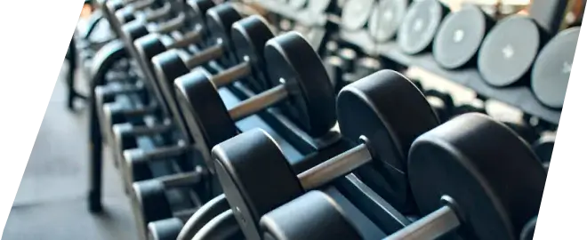 GYM EQUIPMENT