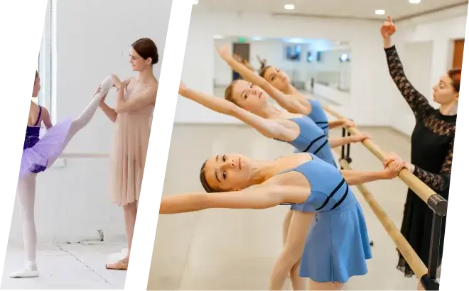 Pro Instructors at your service