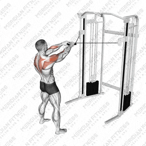 Face Pull Build Stronger Shoulders Improve Posture