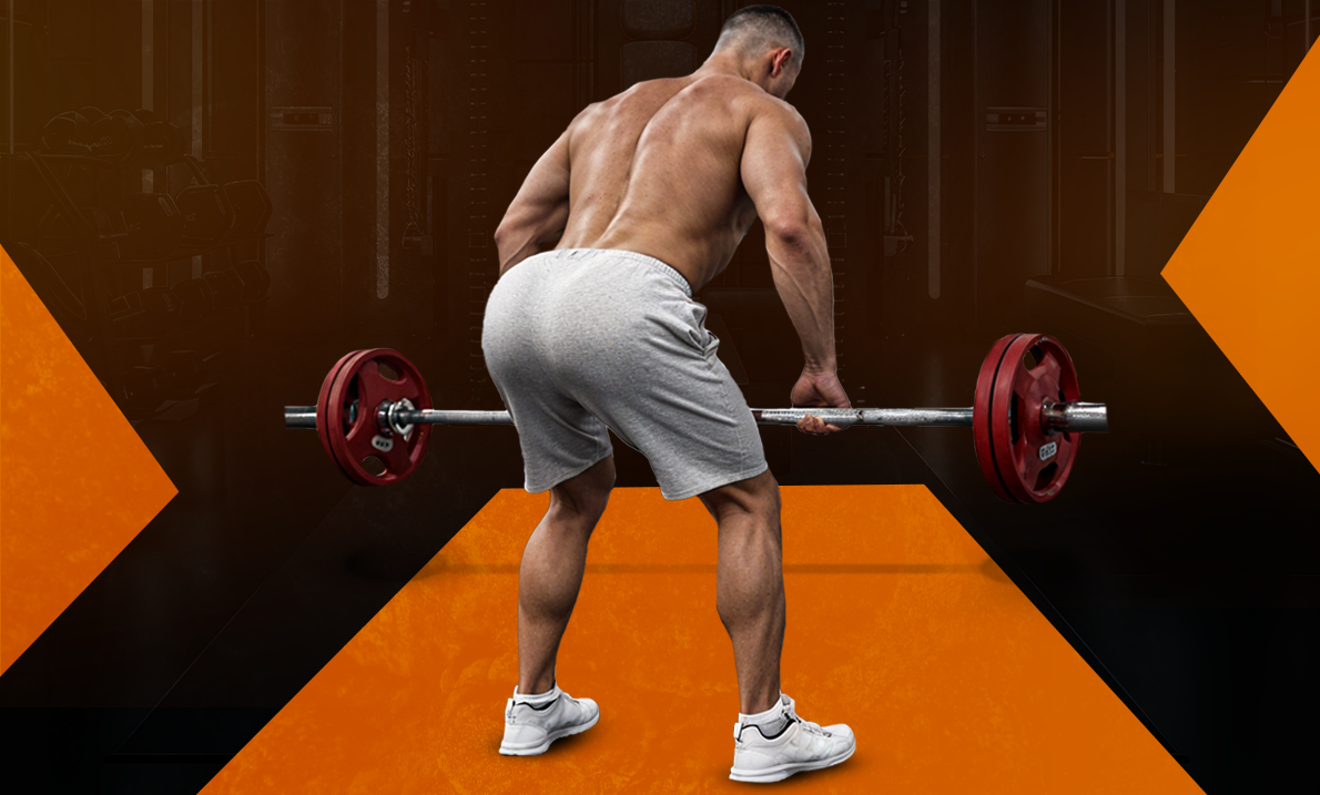 Barbell Bent Over Row