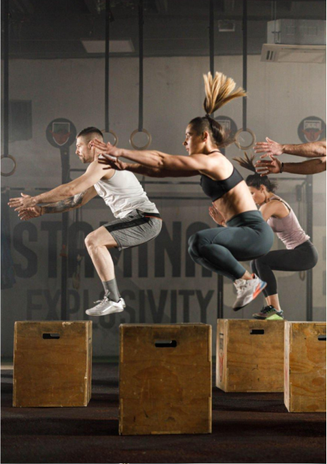 MID-SIZE COMPANY PACKAGE