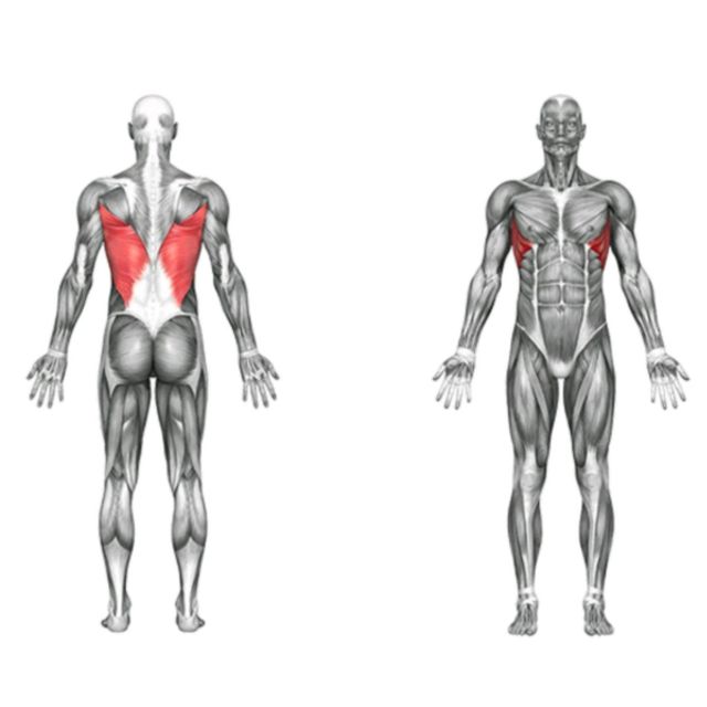Child pose muscles worked